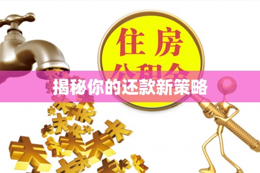 唐县揭秘你的还款新策略