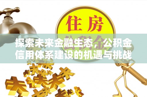 唐县探索未来金融生态，公积金信用体系建设的机遇与挑战