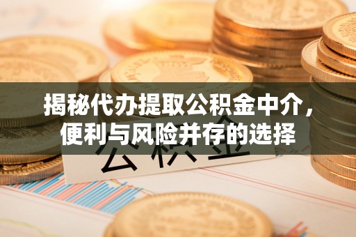 唐县揭秘代办提取公积金中介，便利与风险并存的选择