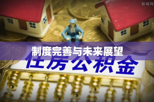 唐县制度完善与未来展望