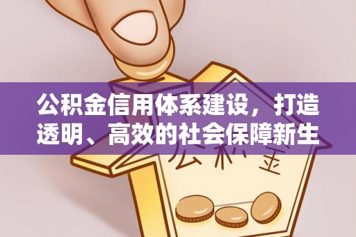 唐县公积金信用体系建设，打造透明、高效的社会保障新生态