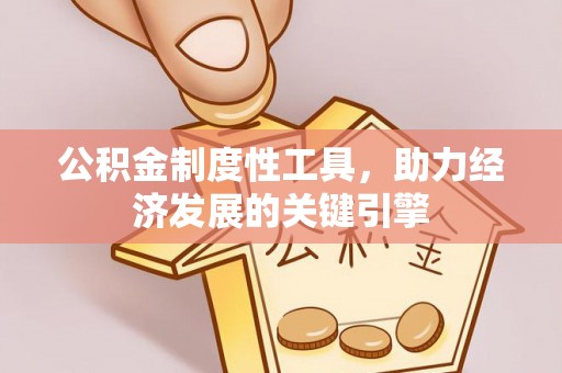 唐县公积金制度性工具，助力经济发展的关键引擎