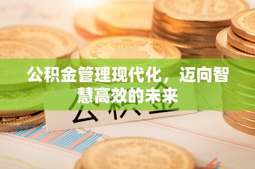 唐县公积金管理现代化，迈向智慧高效的未来