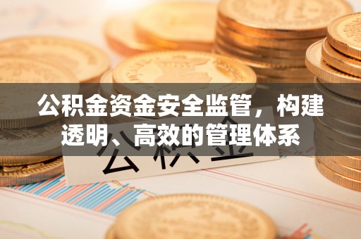 唐县公积金资金安全监管，构建透明、高效的管理体系
