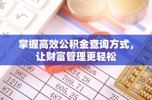 唐县掌握高效公积金查询方式，让财富管理更轻松