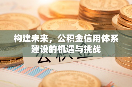 唐县构建未来，公积金信用体系建设的机遇与挑战