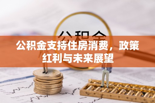 唐县公积金支持住房消费，政策红利与未来展望