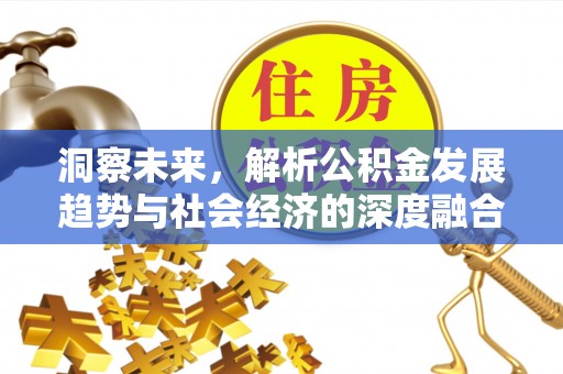 唐县洞察未来，解析公积金发展趋势与社会经济的深度融合