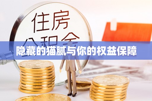 唐县隐藏的猫腻与你的权益保障