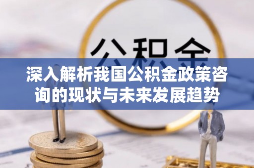 唐县深入解析我国公积金政策咨询的现状与未来发展趋势