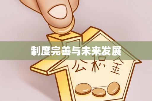 唐县制度完善与未来发展