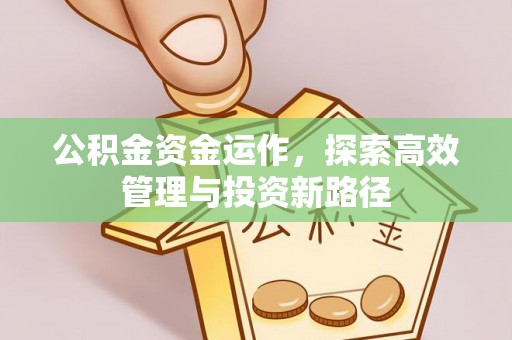唐县公积金资金运作，探索高效管理与投资新路径