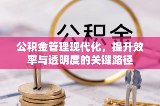 唐县公积金管理现代化，提升效率与透明度的关键路径