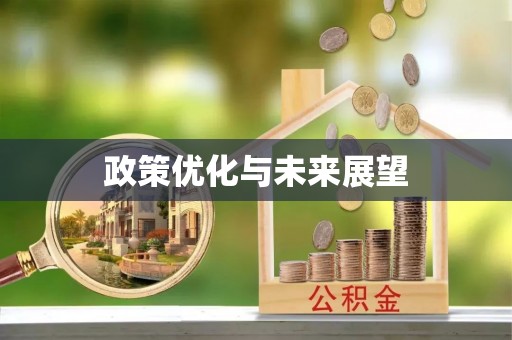 唐县政策优化与未来展望