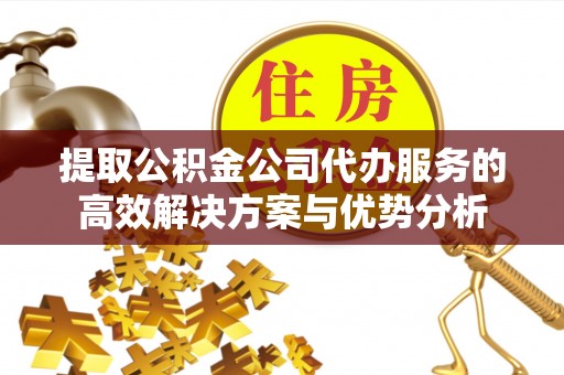 唐县提取公积金公司代办服务的高效解决方案与优势分析