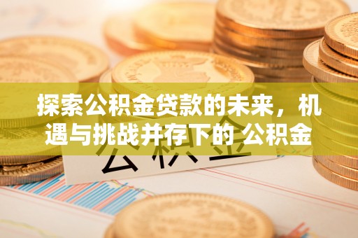 唐县探索公积金贷款的未来，机遇与挑战并存下的 公积金贷款风险防控