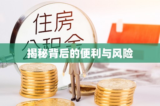 唐县揭秘背后的便利与风险